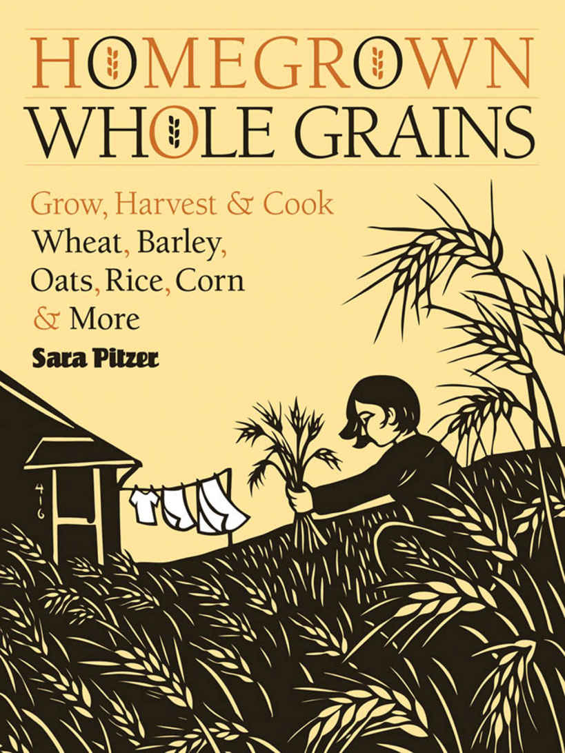Homegrown Whole Grains Grow Harvest And Cook Wheat Barley Oats Rice Corn And More Sara Pitzer
