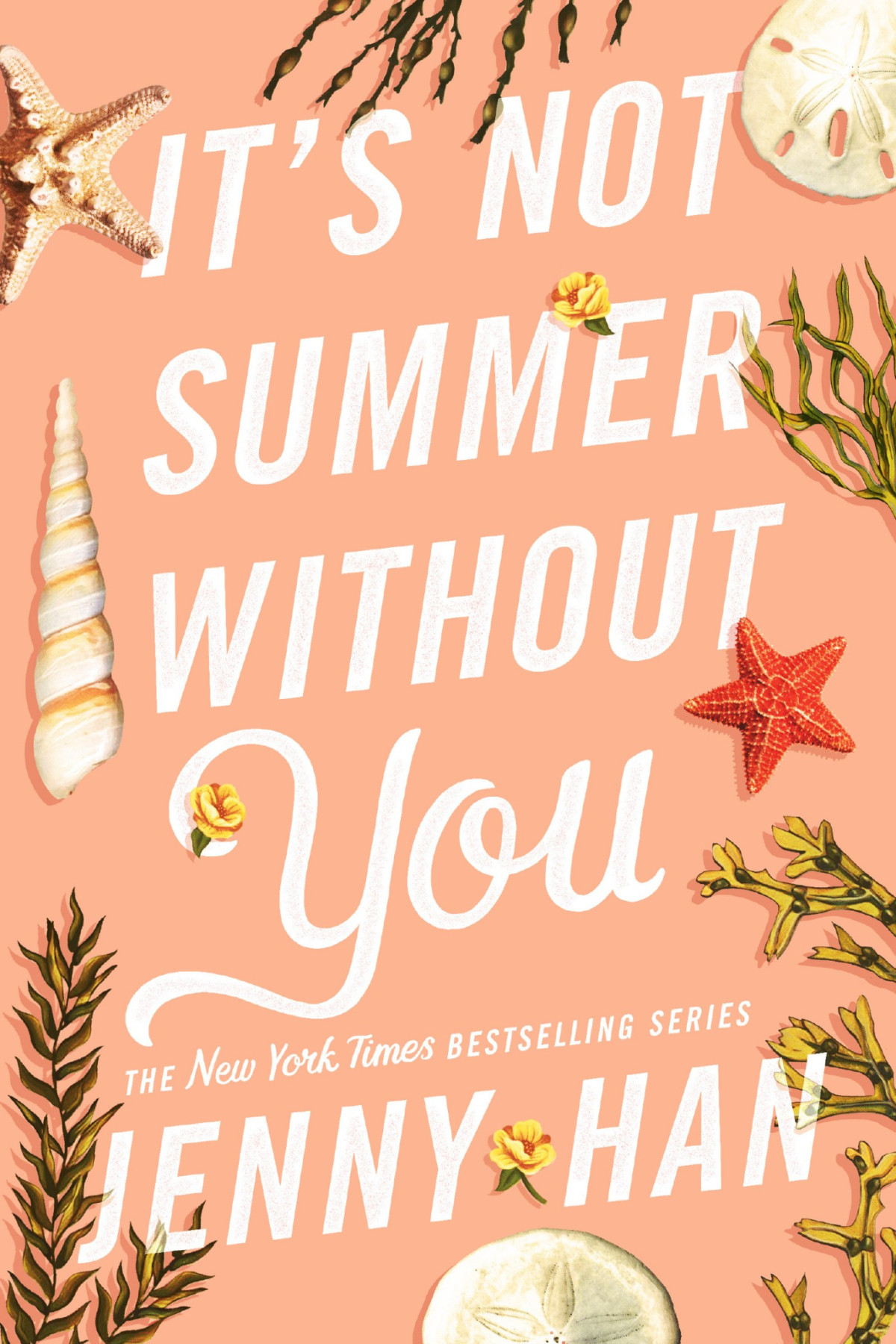 Its Not Summer Without You Jenny Han