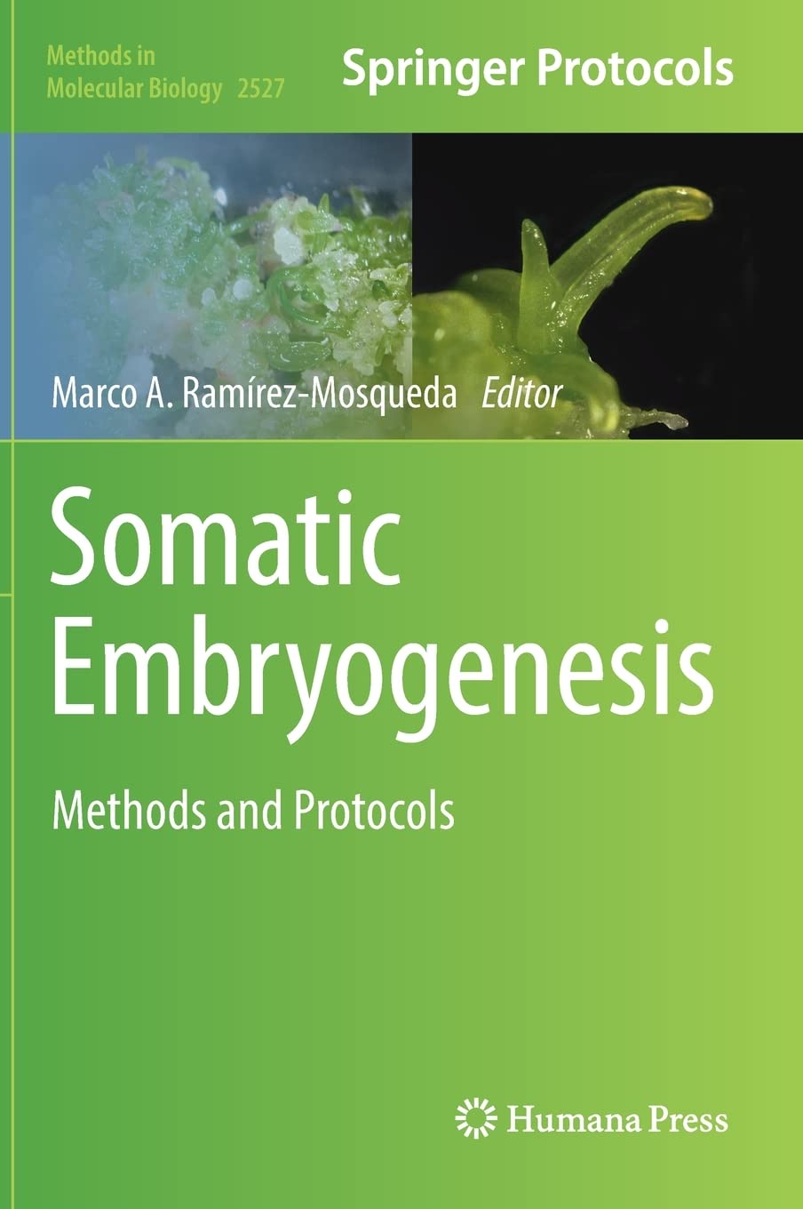 Somatic Embryogenesis Methods And Protocols Marco A Ramrezmosqueda Ed