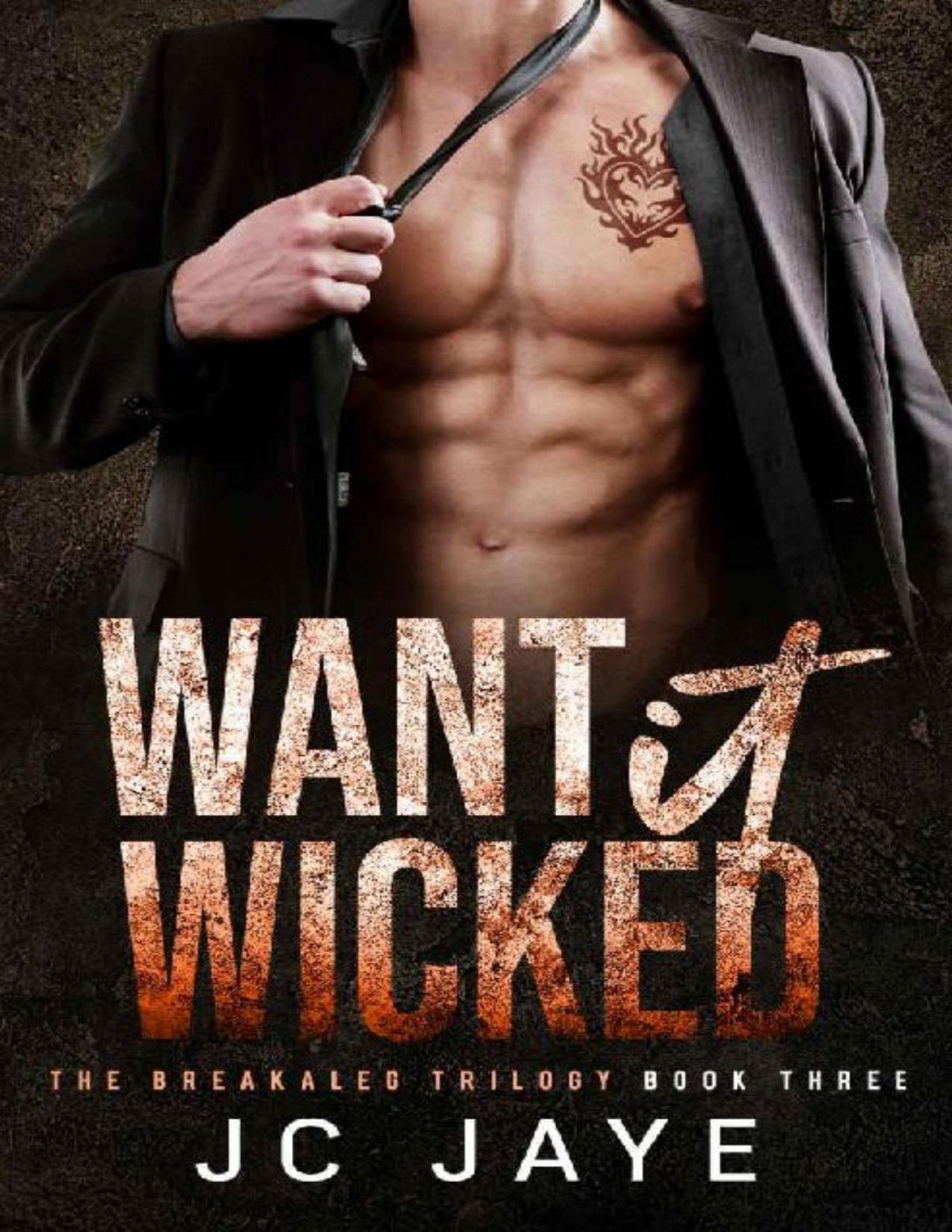 Want It Wicked A Broody Billionaire Romance The Breakaleg Trilogy Book 3 Jc Jaye