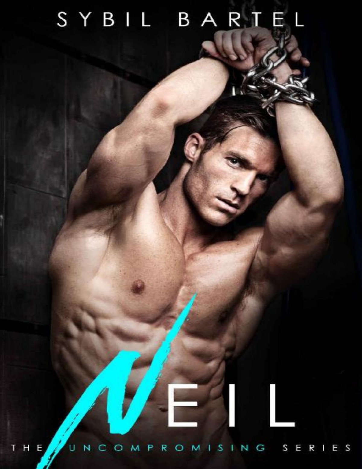 Neil The Uncompromising Series Book 2 Sybil Bartel