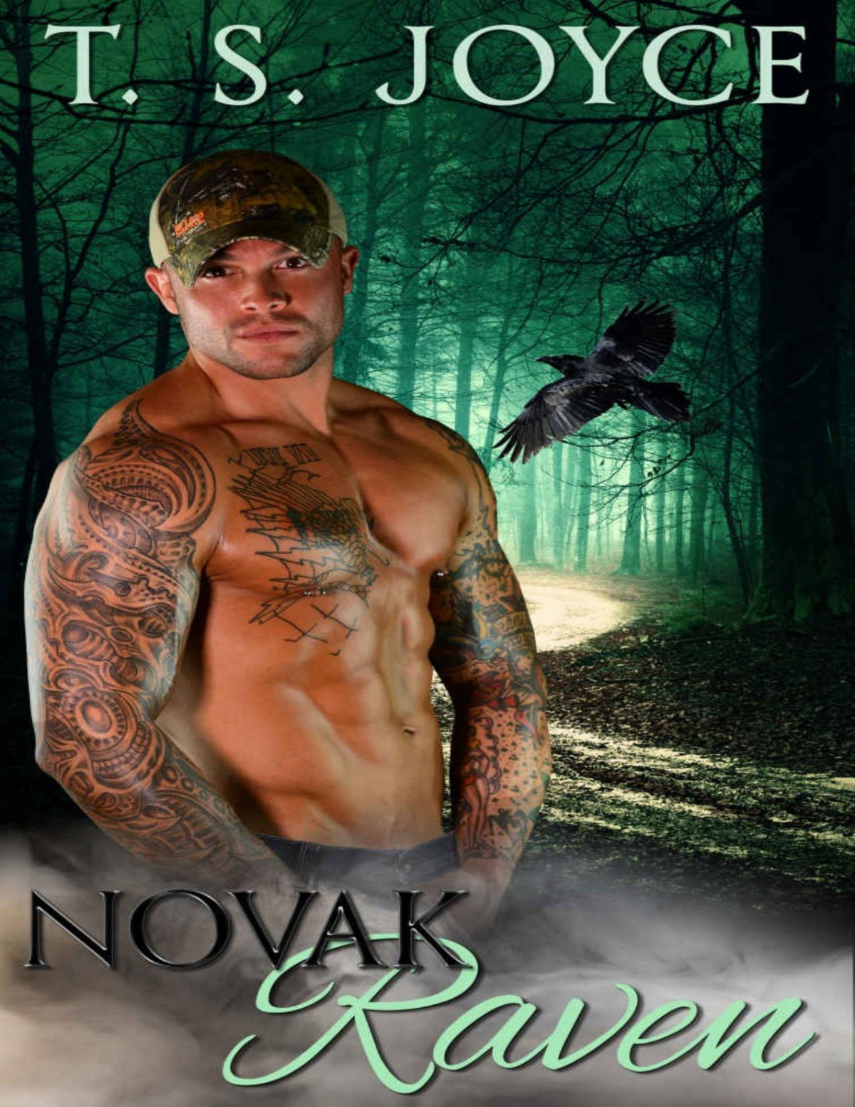Novak Raven Harpers Mountains Book 4 T S Joyce