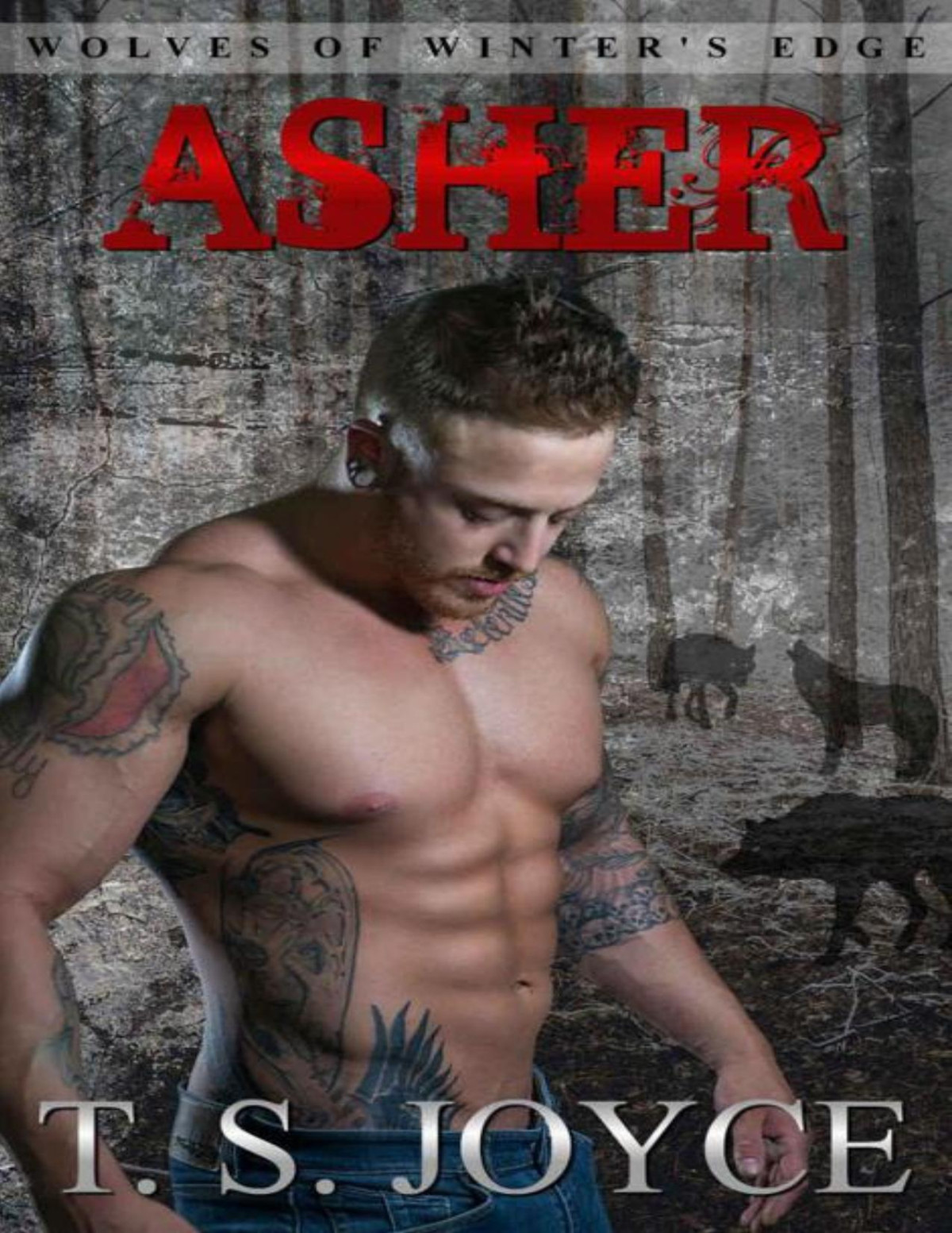 Asher Wolves Of Winters Edge Book 3 Joyce T S
