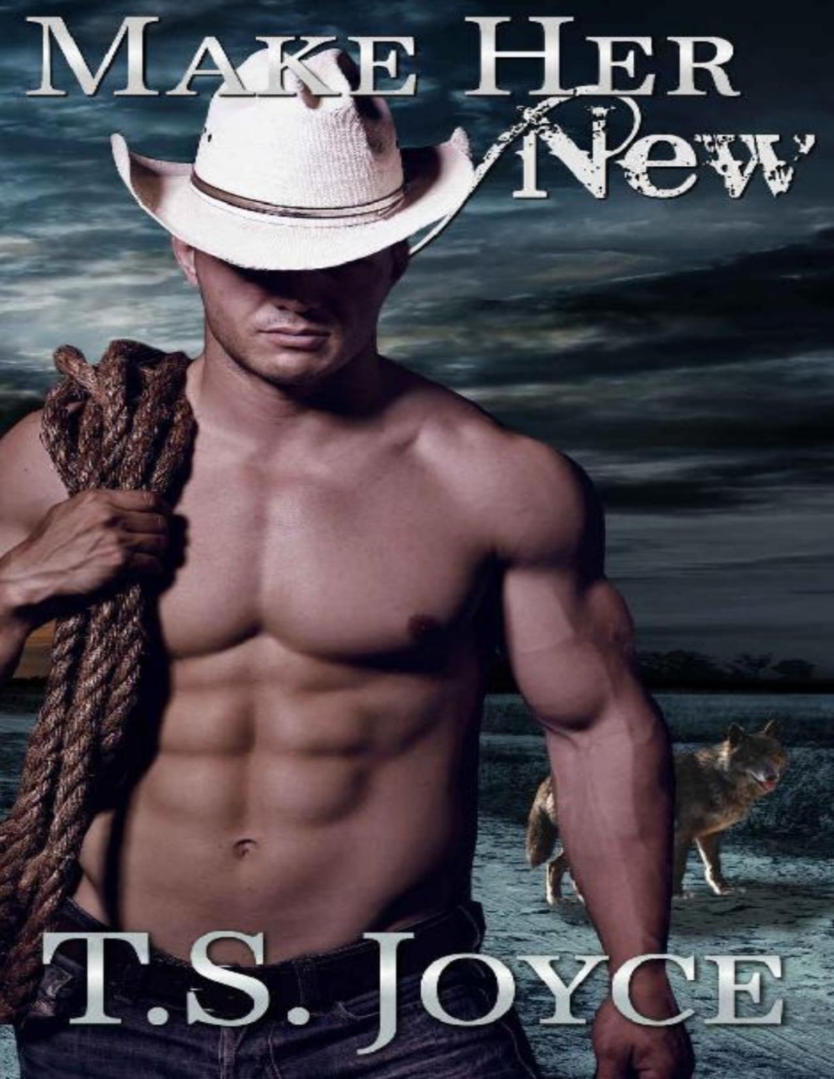 Make Her New Kaid Ranch Shifters Book 2 T S Joyce