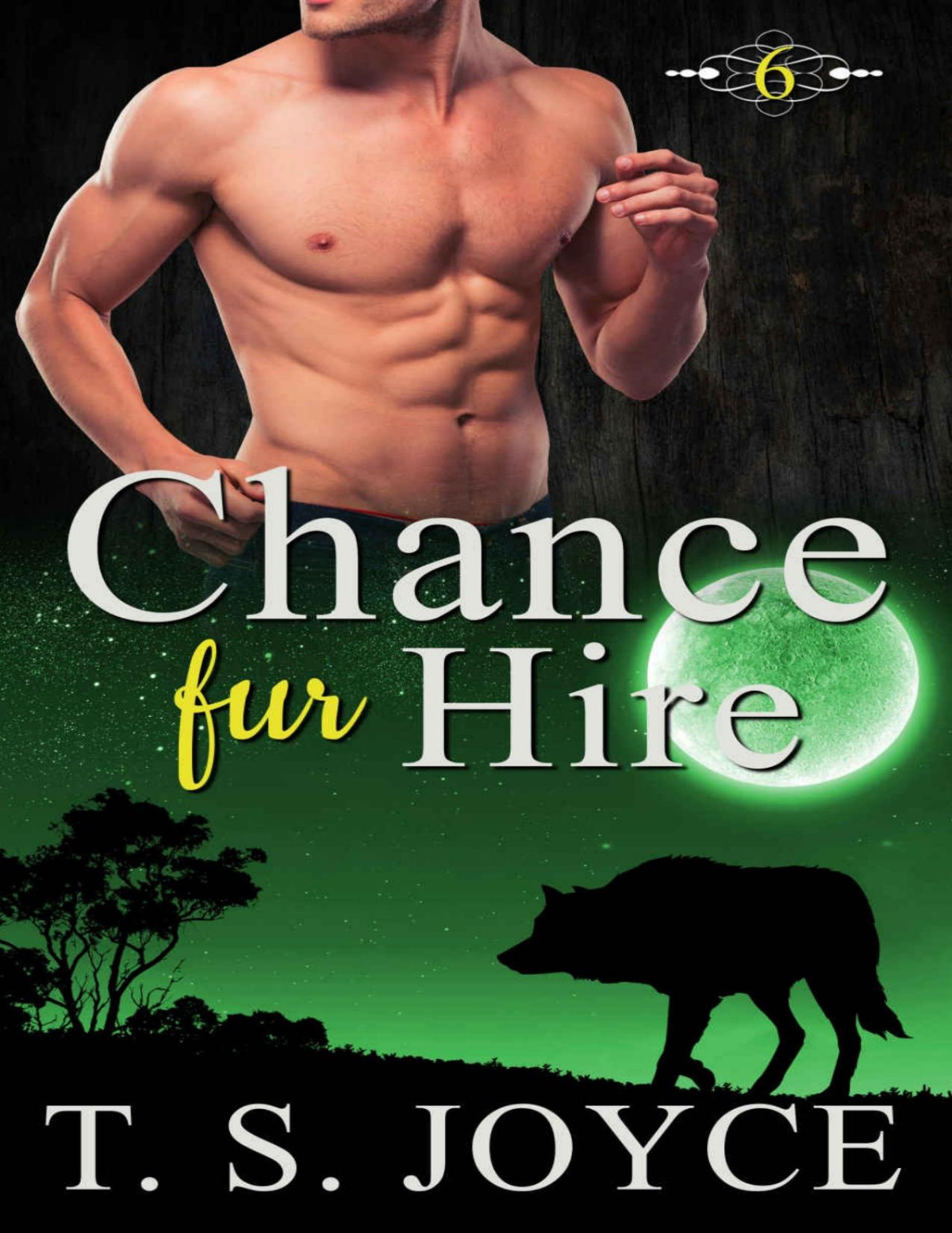 Chance Fur Hire Bears Fur Hire Book 6 T S Joyce