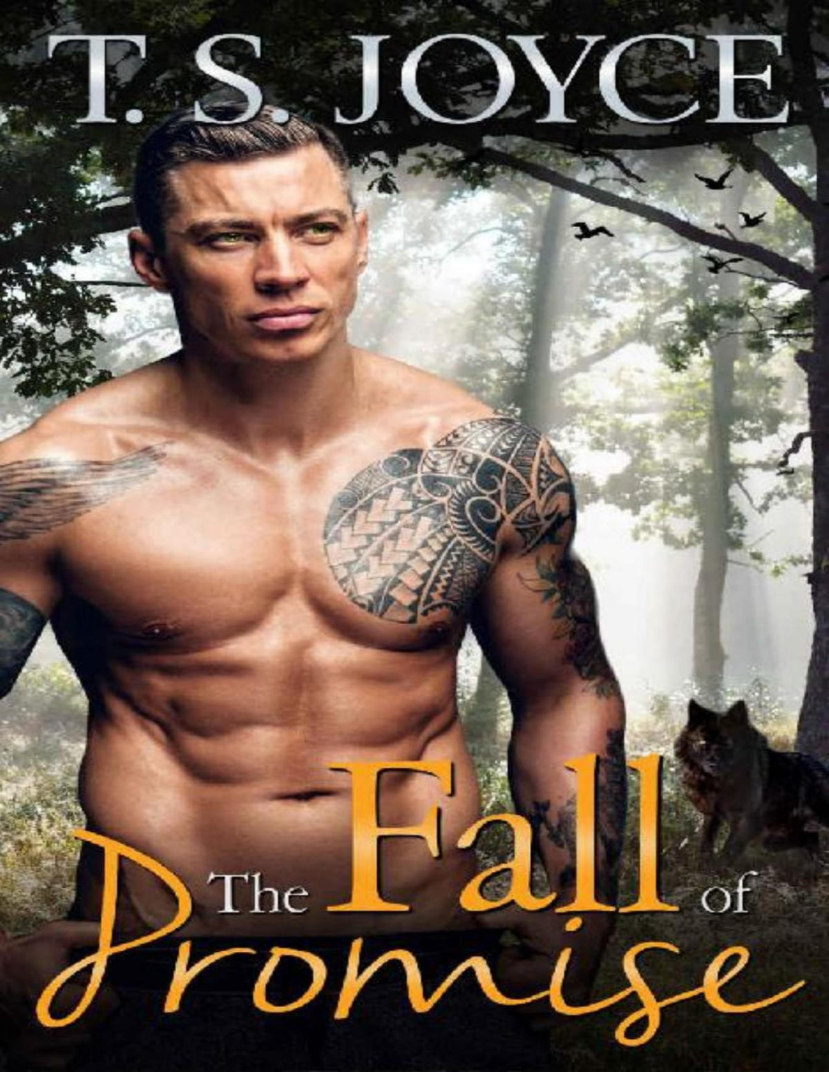 The Fall Of Promise The Wolves Of Promise Falls Book 1 T S Joyce