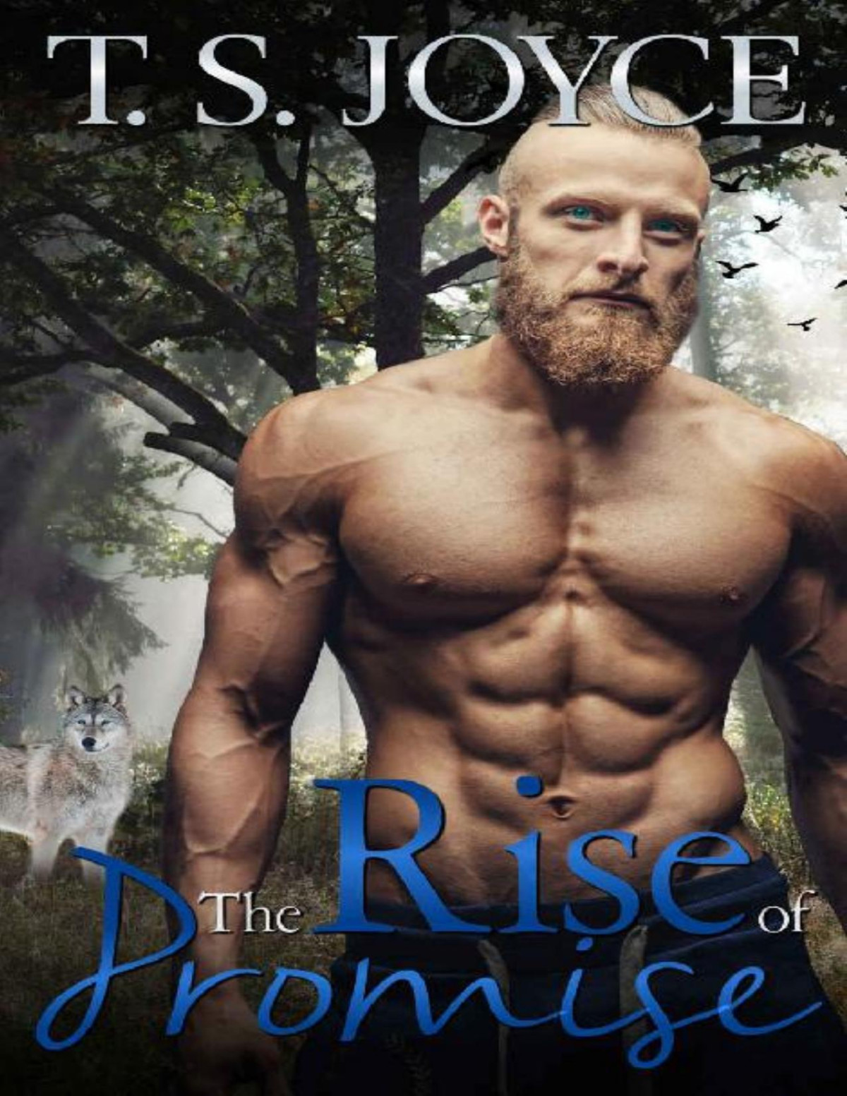 The Rise Of Promise T S Joyce