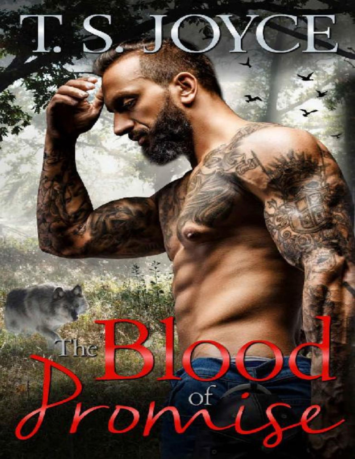 The Blood Of Promise T S Joyce