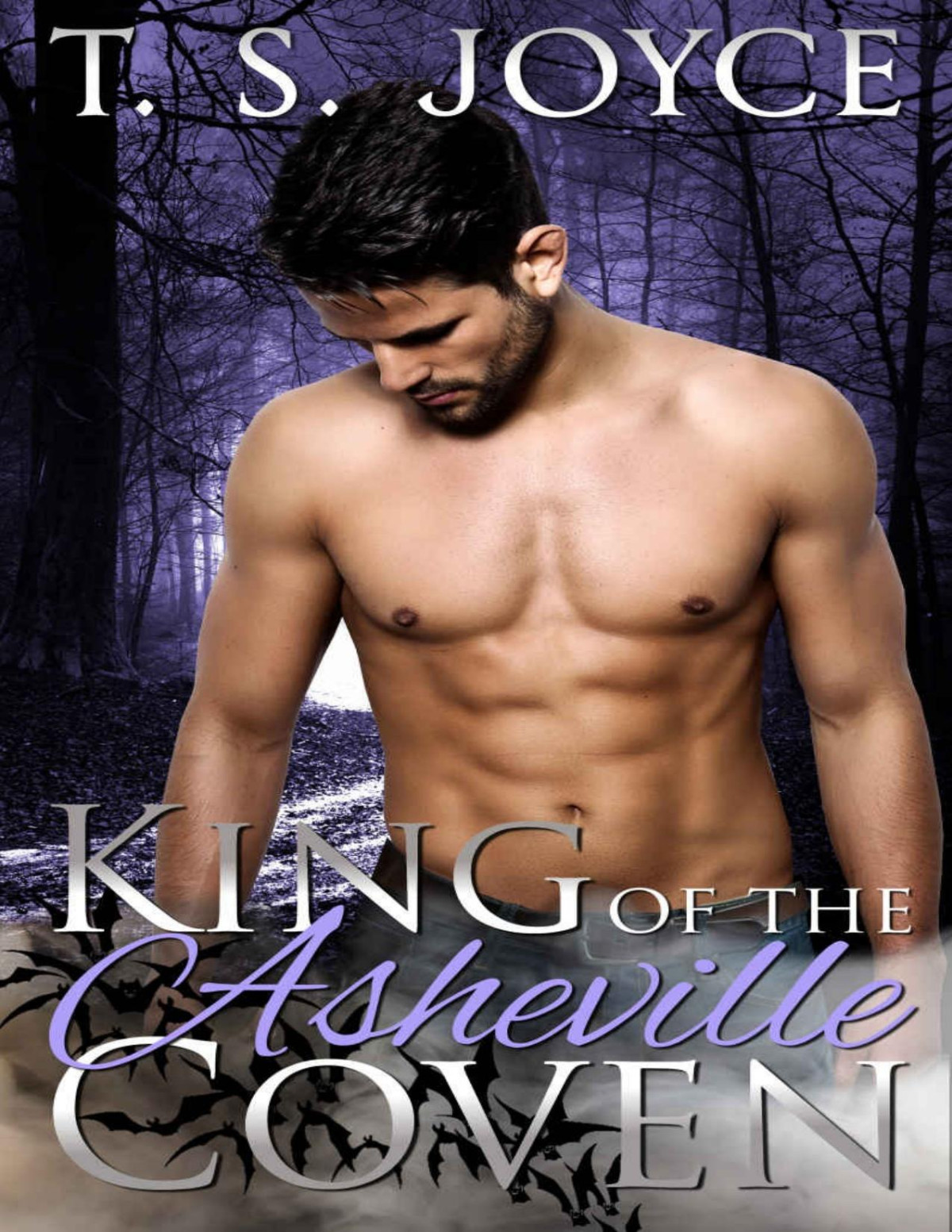 King Of The Asheville Coven Winterset Coven Book 1 T S Joyce