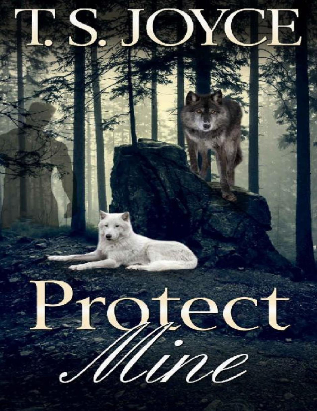 Protect Mine Becoming The Wolf Book 3 T S Joyce