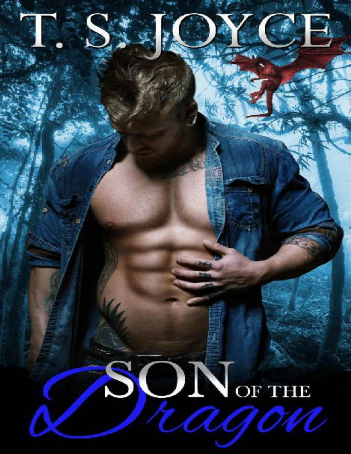 Son Of The Dragon Sons Of Beasts Book 3 T S Joyce