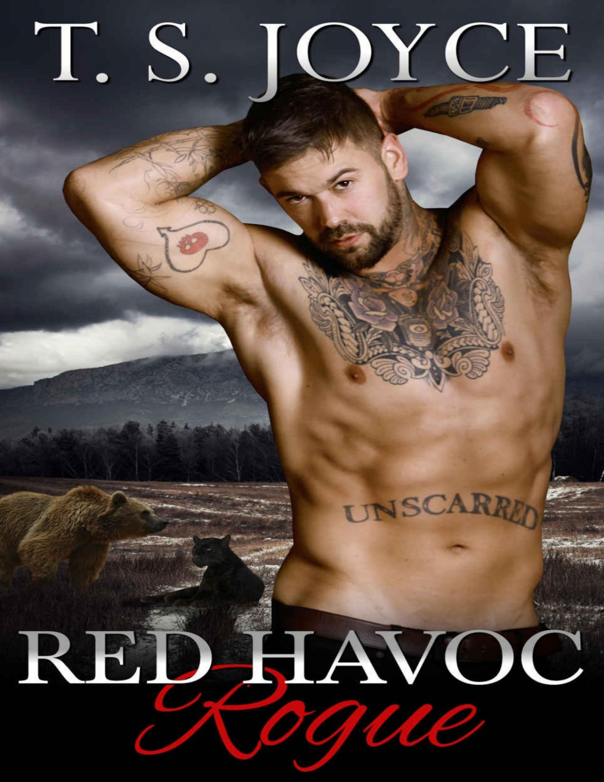 Red Havoc Rogue Red Havoc Panthers Book 1 T S Joyce