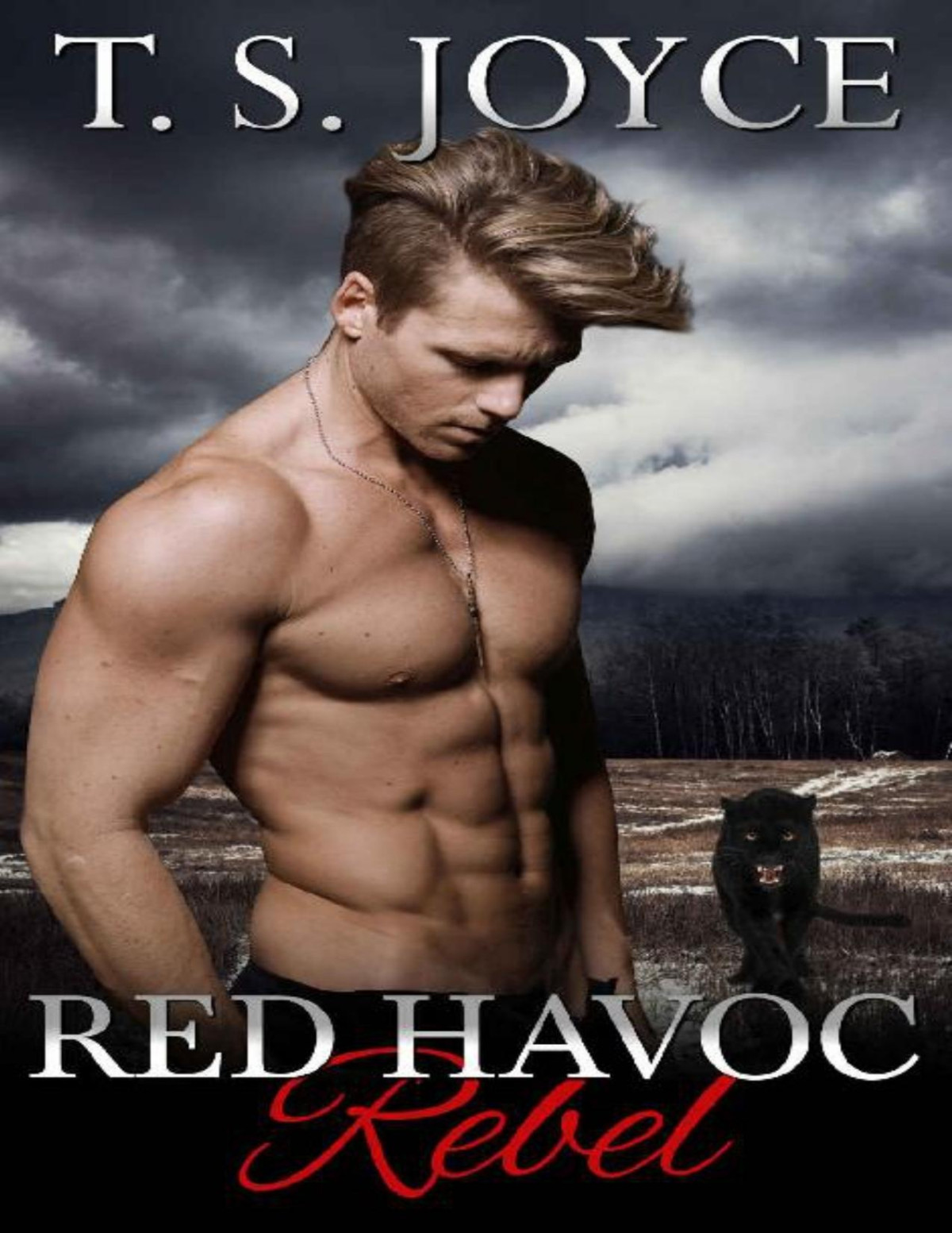 Red Havoc Rebel Red Havoc Panthers Book 2 T S Joyce