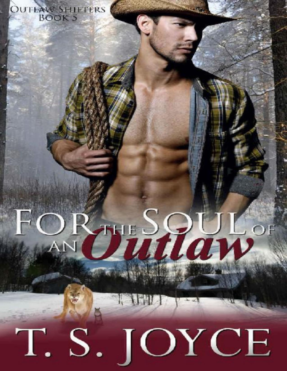 For The Soul Of An Outlaw Outlaw Shifters Book 5 T S Joyce