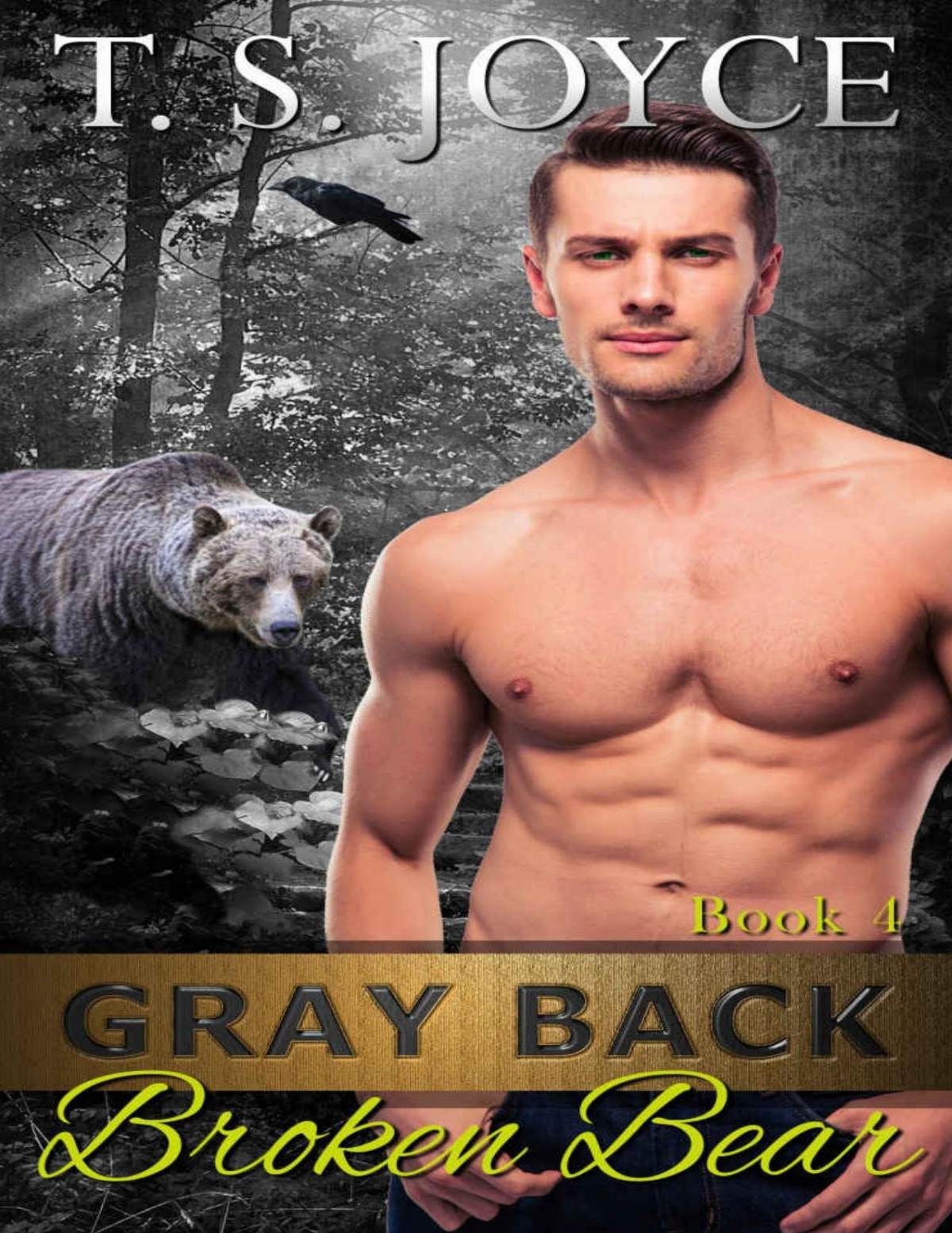 Gray Back Broken Bear Gray Back Bears Book 4 T S Joyce
