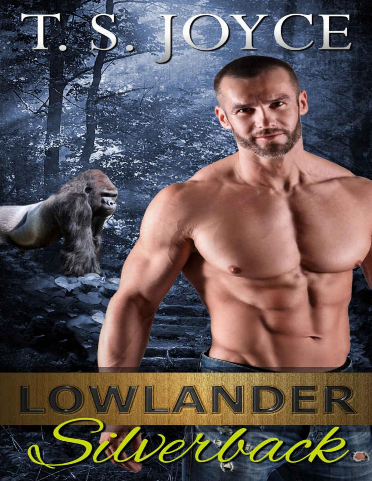 Lowlander Silverback Gray Back Bears Book 5 T S Joyce