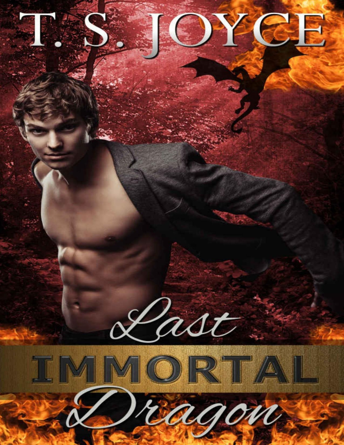 Last Immortal Dragon Dragon Shifter Romance Gray Back Bears Book 6 T S Joyce
