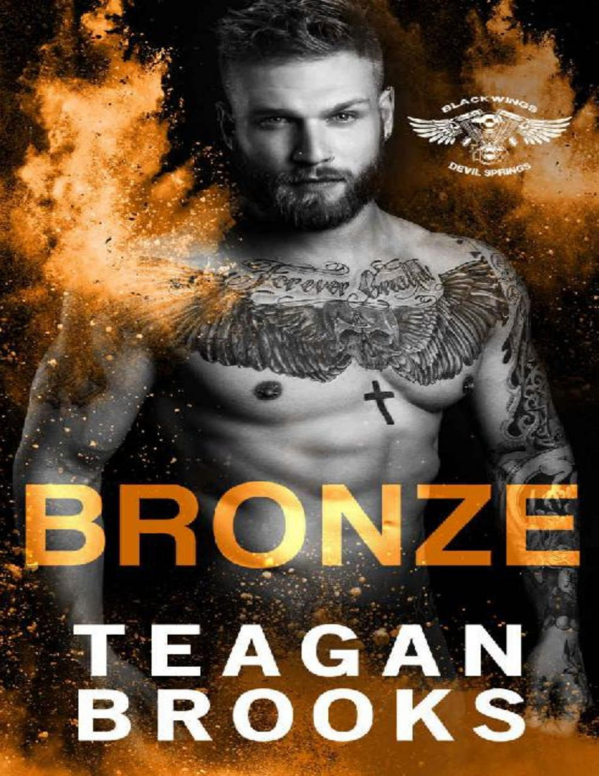 Bronze Blackwings Mc Devil Springs Book 5 Teagan Brooks