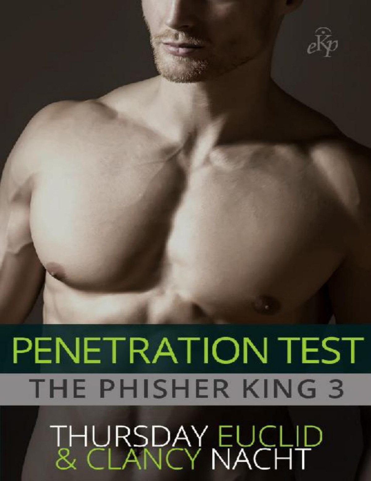 Penetration Test The Phisher King Book 3 Thursday Euclid Clancy Nacht