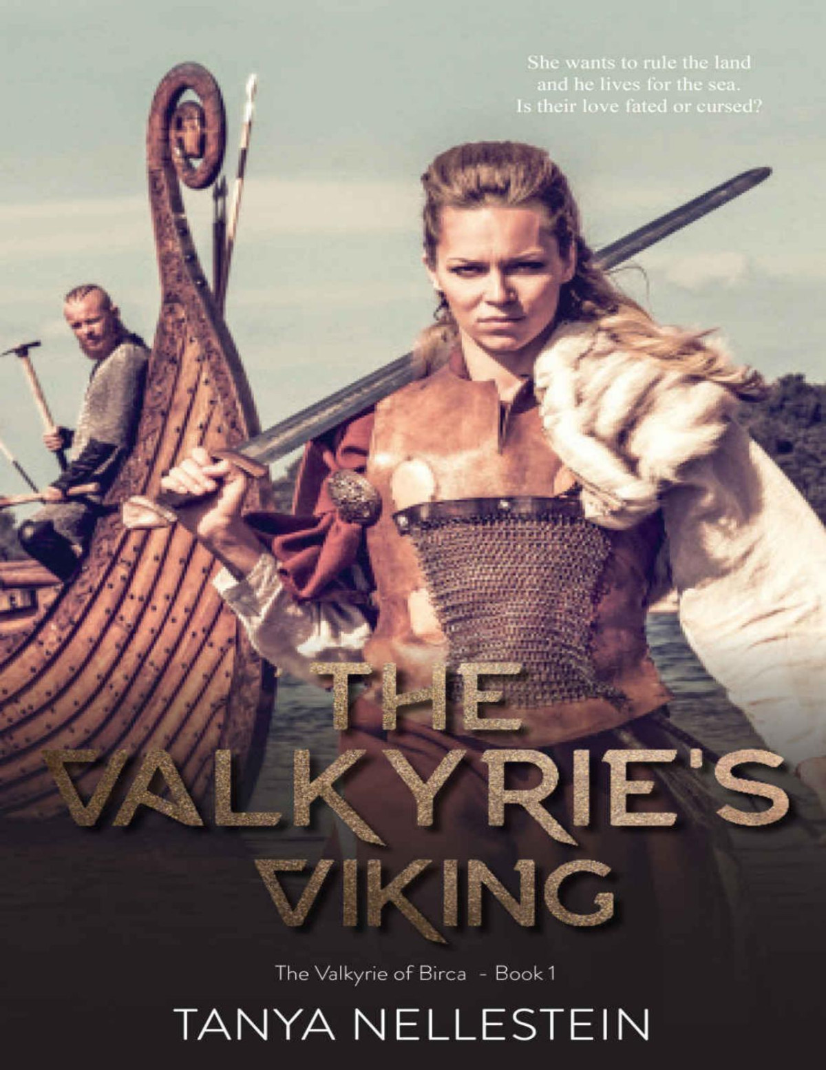 The Valkyries Viking The Valkyrie Of Birca Book 1 Tanya Nellestein