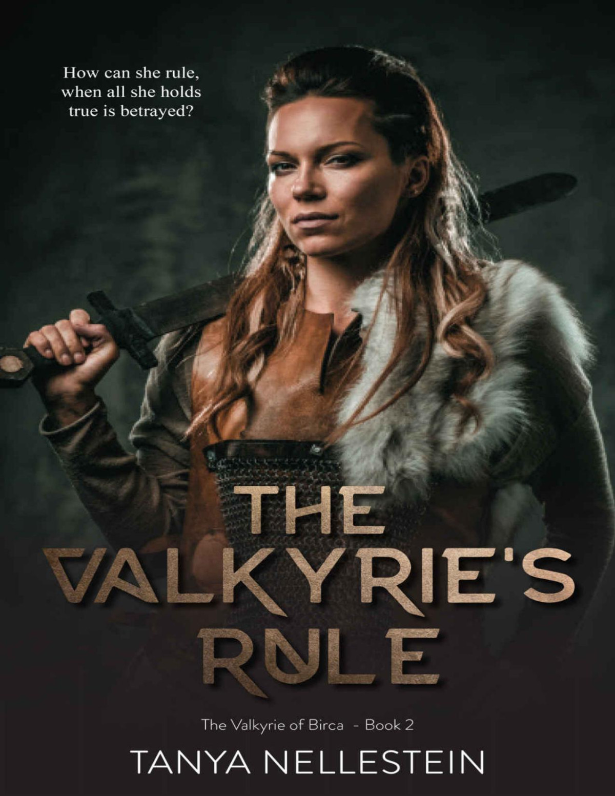 The Valkyries Rule Book 2 The Valkyrie Of Birca Series Tanya Nellestein