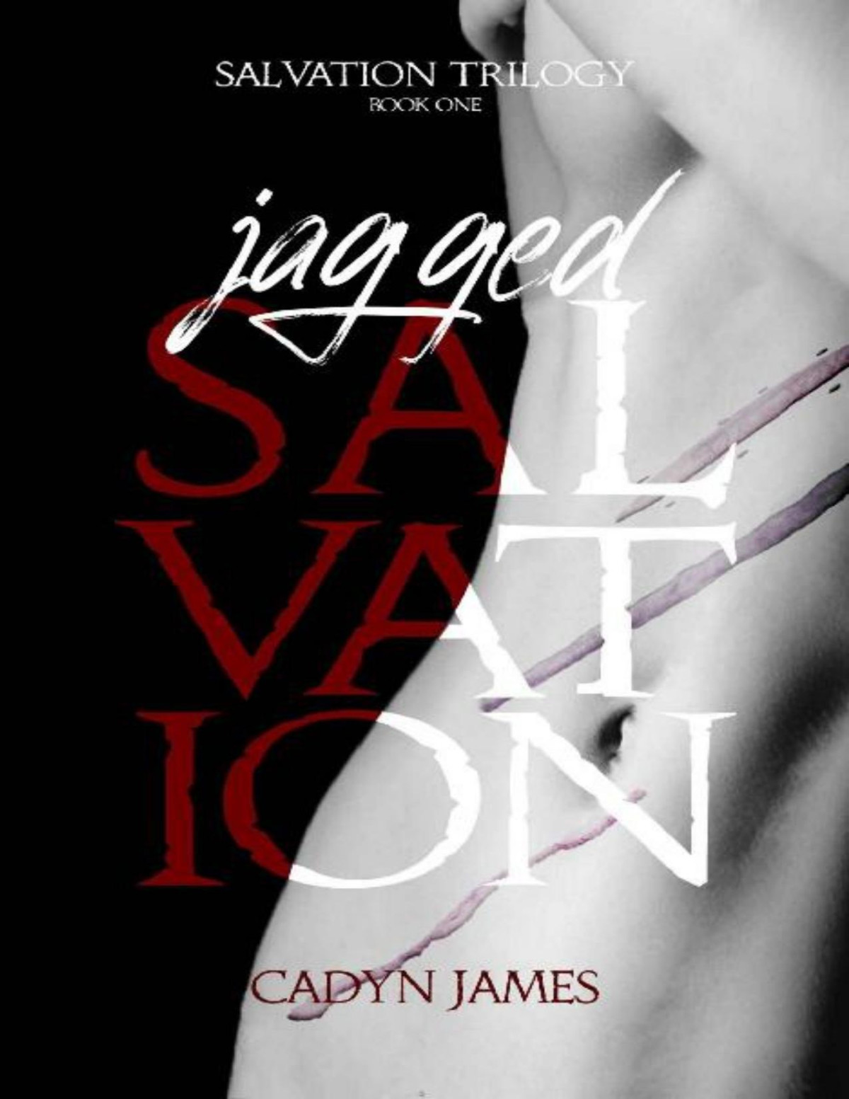 Jagged Salvation A Dark Contemporary Romance Novel Salvation Trilogy Book 1 Cadyn James