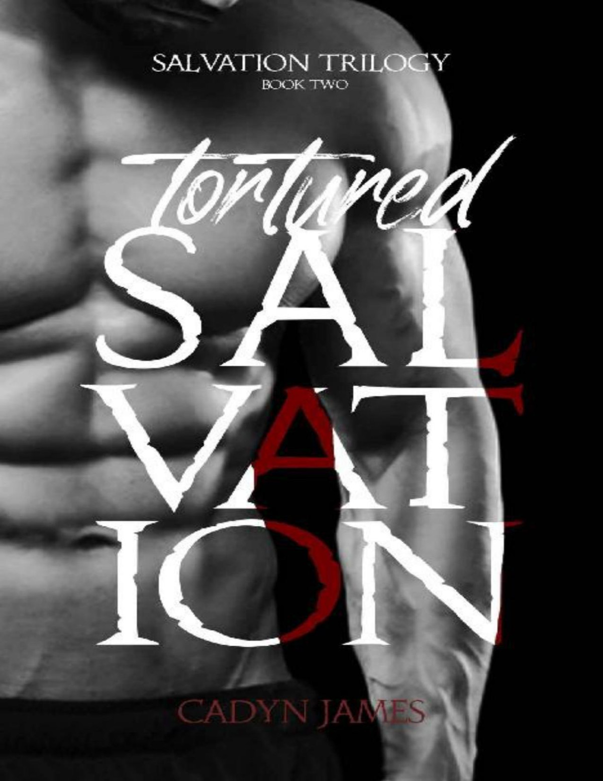 Tortured Salvation A Dark Contemporary Romance Salvation Trilogy Book 2 Cadyn James