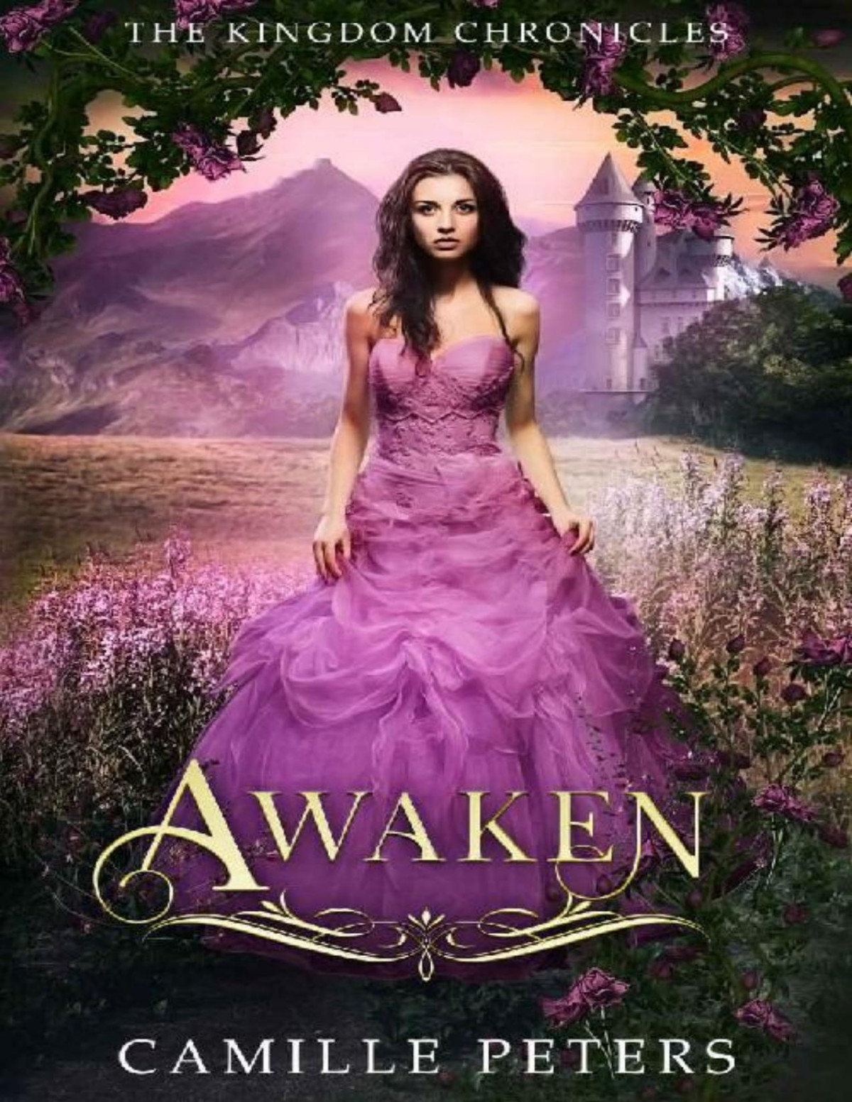 Awaken The Kingdom Chronicles Book 7 Camille Peters