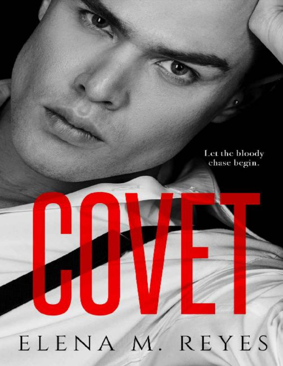 Covet Beautiful Sinner Series Book 2 Elena M Reyes