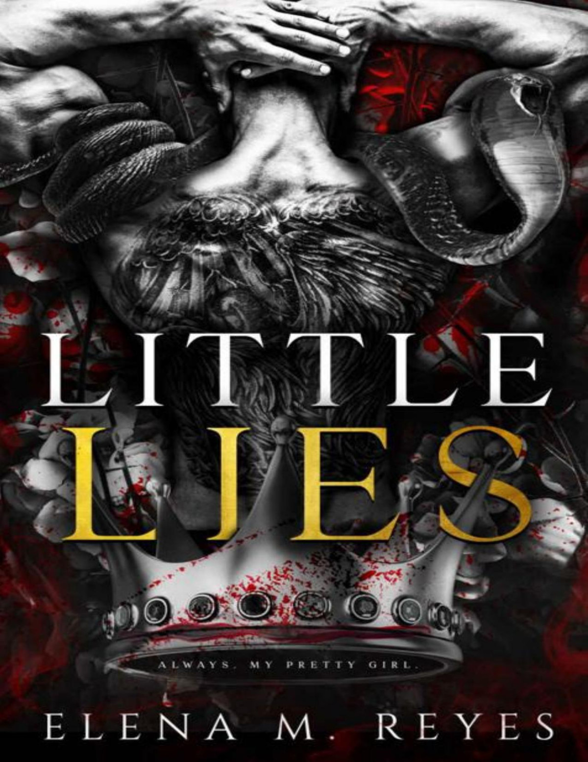 Little Lies Elena M Reyes