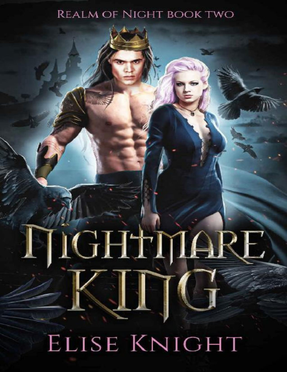 Nightmare King An Enemies To Lovers Fantasy Romance Realm Of Night Book 2 Elise Knight