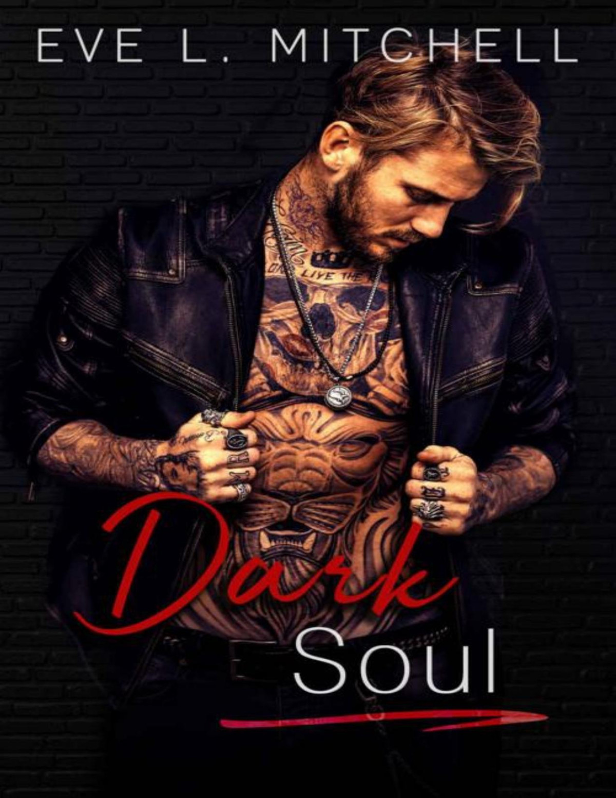 Dark Soul Boulder Series Book 4 Eve L Mitchell