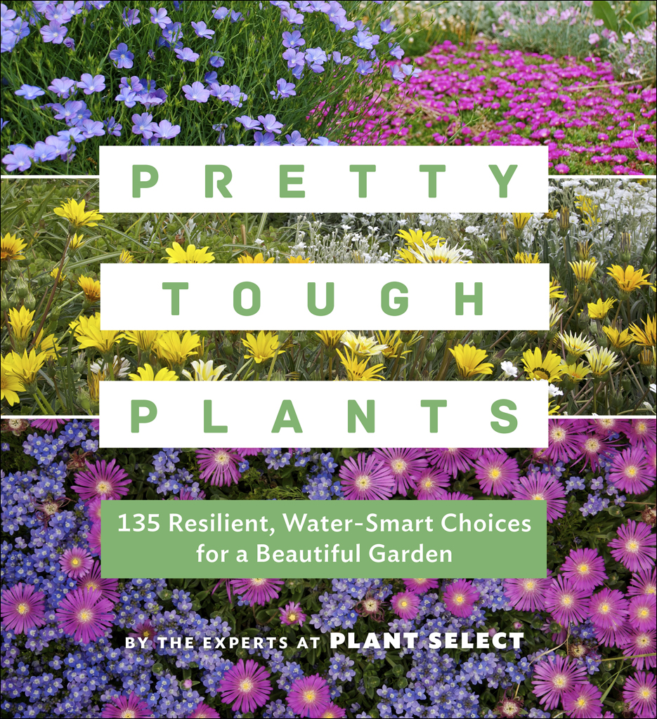 Pretty Tough Plants 135 Resilient Watersmart Choices For A Beautiful Garden 1st Edition Plant Select