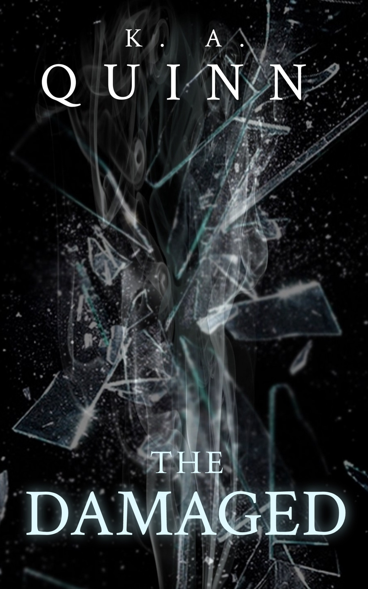 The Damaged 1st K A Quinn