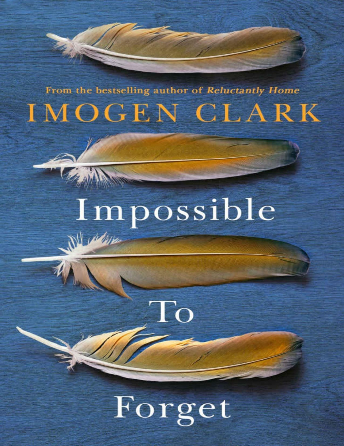 Impossible To Forget Imogen Clark