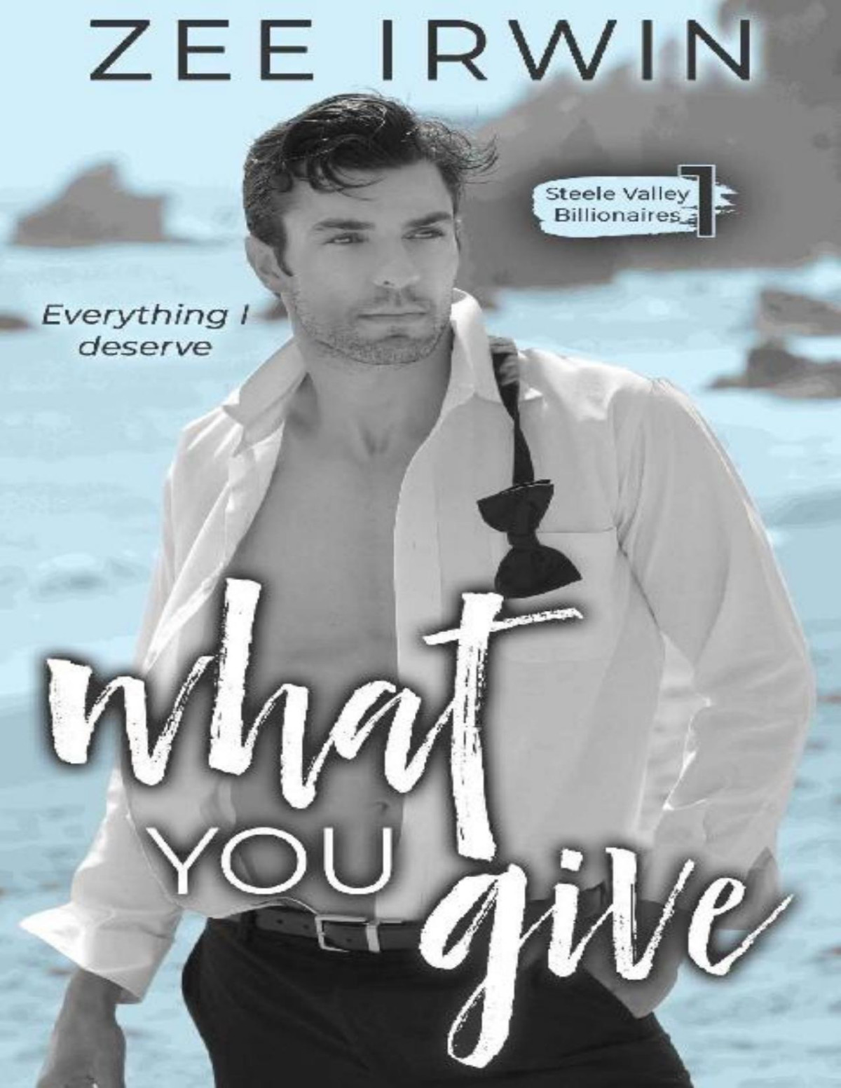 What You Give Steele Valley Billionaires Book 1 Zee Irwin
