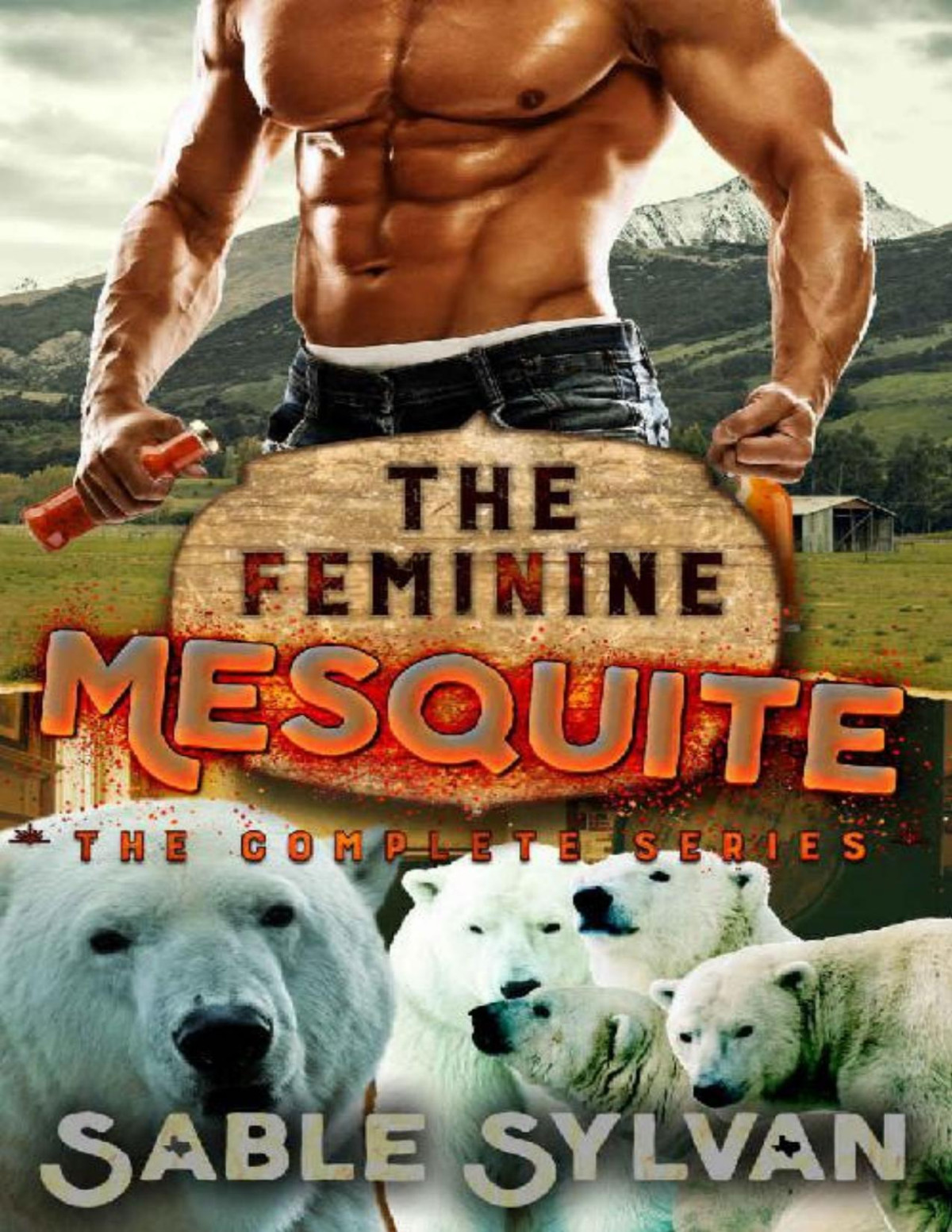 The Feminine Mesquite The Complete Series 1st Edition Sable Sylvan