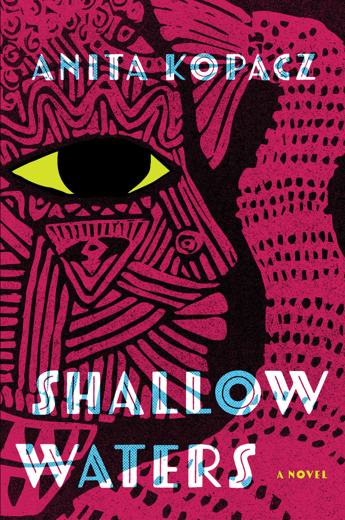 Shallow Waters A Novel Anita Kopacz