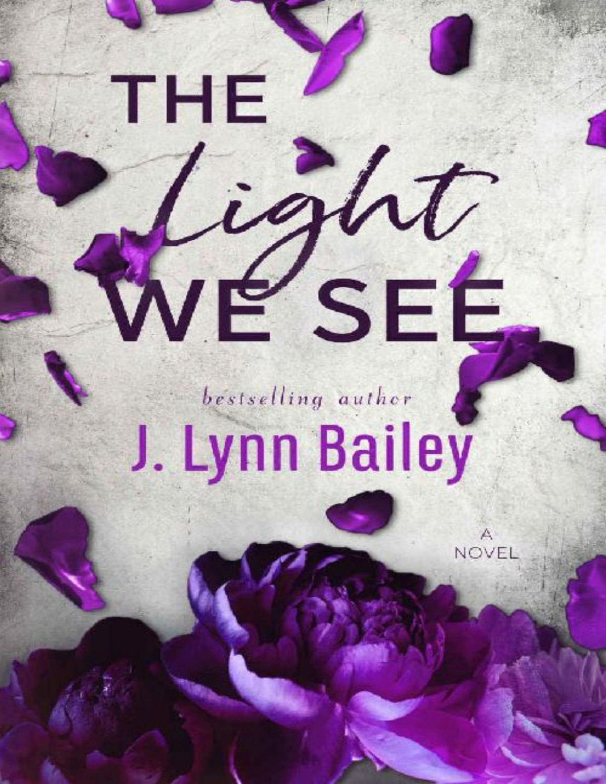 The Light We See J Lynn Bailey