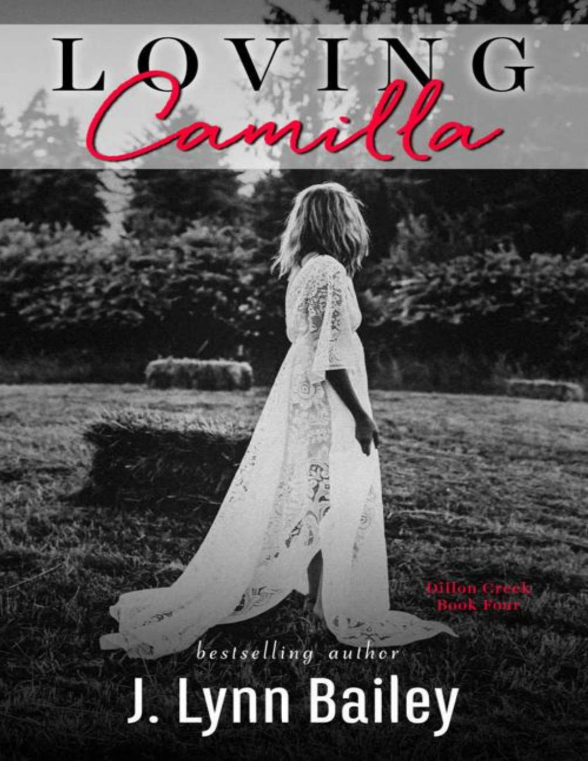 Loving Camilla The Dillon Creek Series Book 4 J Lynn Bailey