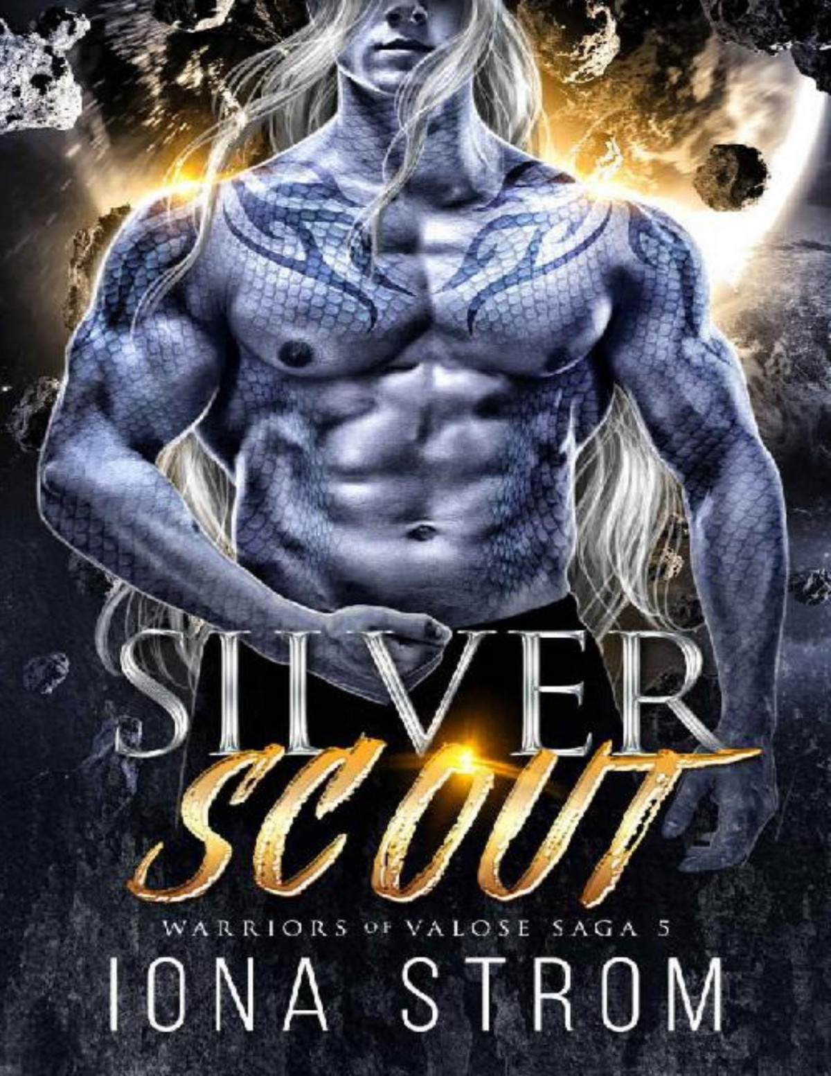 Silver Scout Warriors Of Valose Saga 5 Iona Strom Ls Anders
