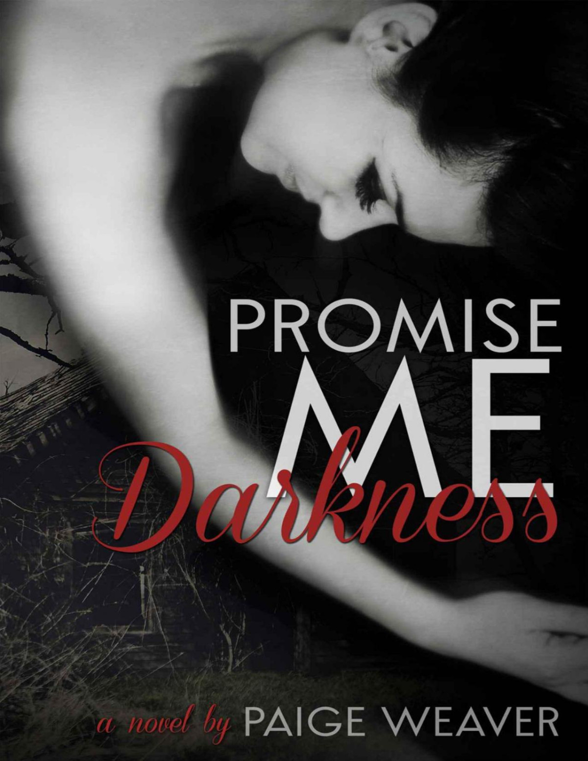 Promise Me Darkness Paige Weaver