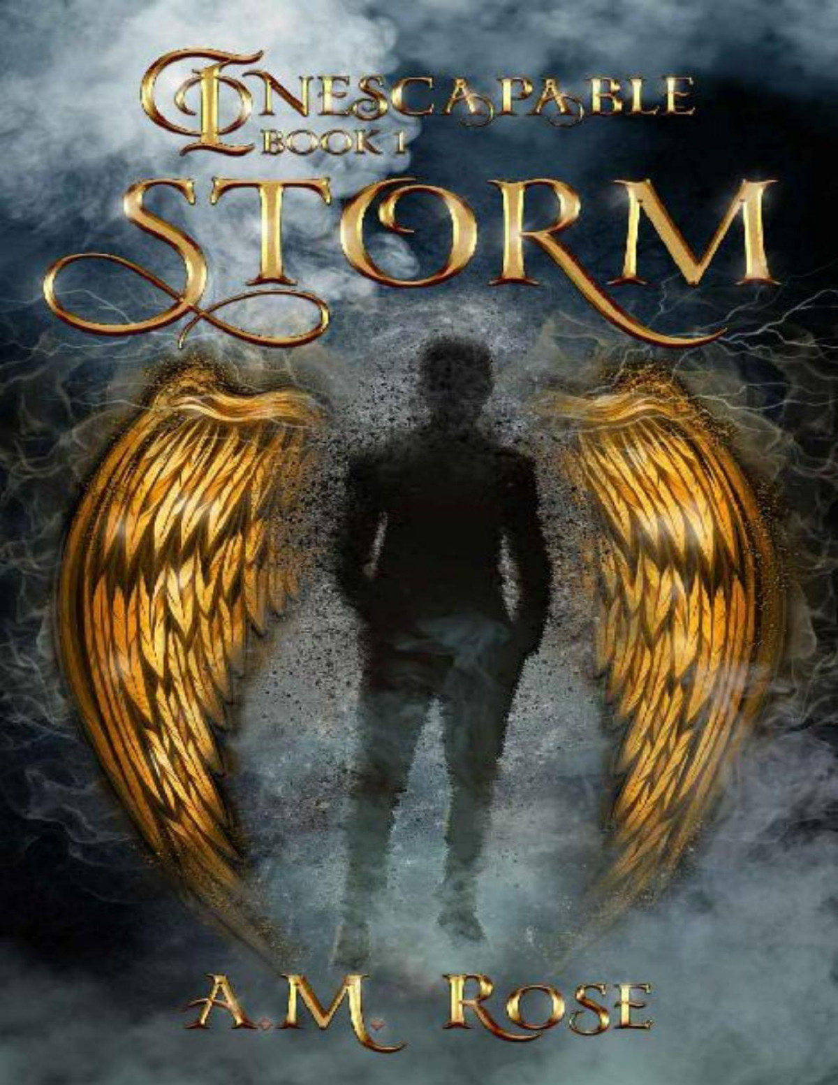 Storm Inescapable Book 1 A M Rose