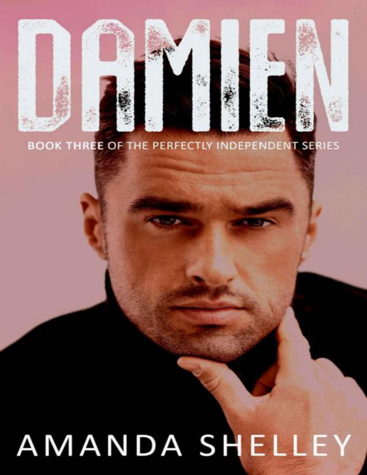 Damien Book Three Of The Perfectly Independent Series Amanda Shelley