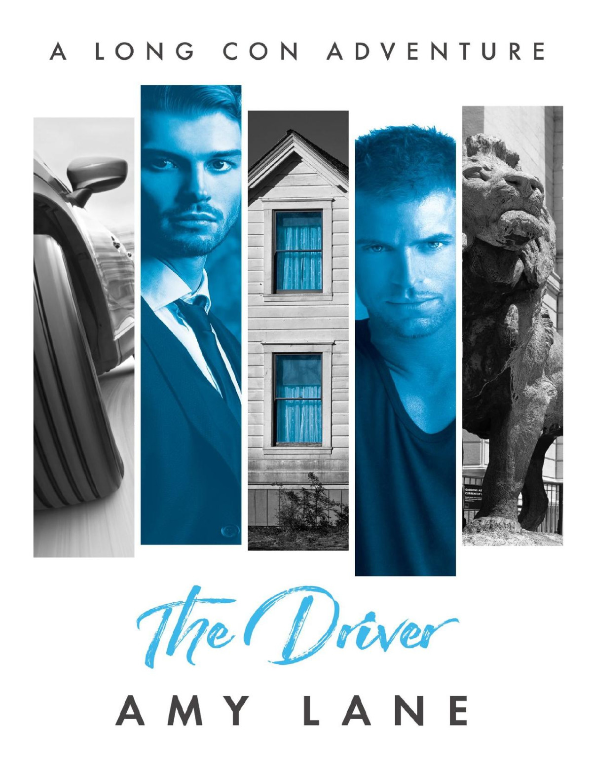 The Driver Amy Lane