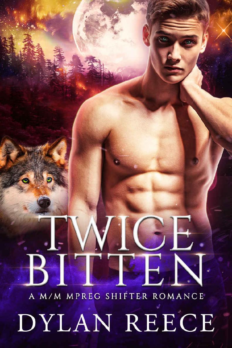 Twice Bitten A Mm Mpreg Shifter Romance Darlington Pack Series Dylan Reece