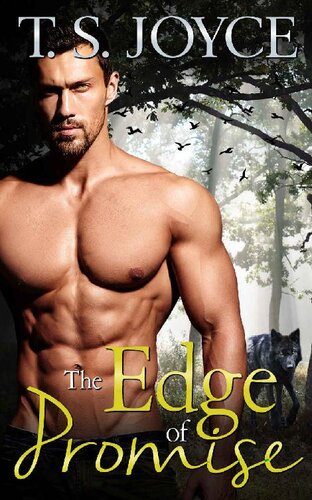 The Edge Of Promise T S Joyce