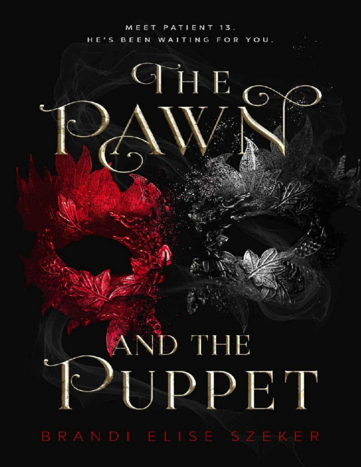 The Pawn And The Puppet The Pawn And The Puppet Series Book 1 Brandi Elise Szeker
