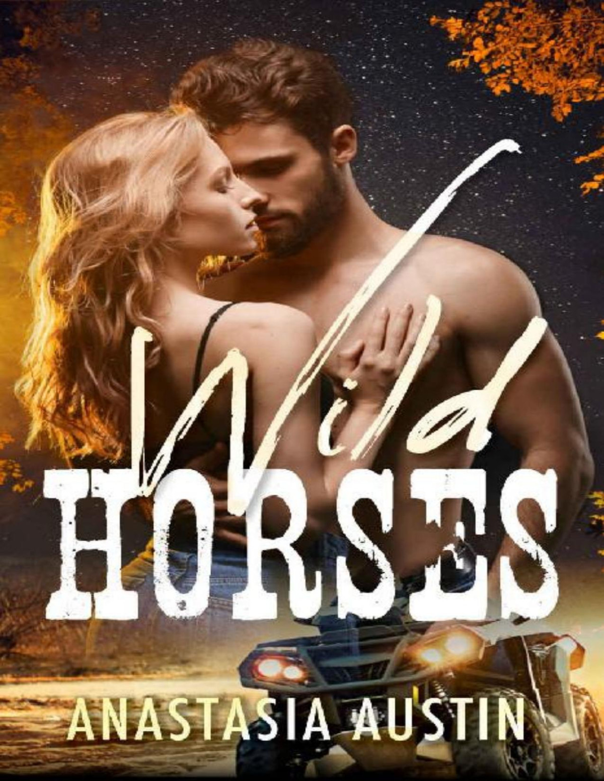 Wild Horses A Country Boy Meets Curvy City Girl Age Gap Romance Bonfire Boys Book 1 Anastasia Austin