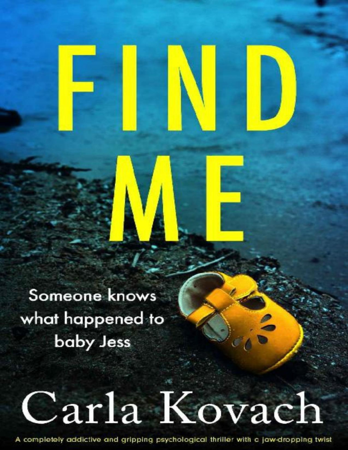 Find Me A Completely Addictive And Gripping Psychological Thriller With A Jawdropping Twist Carla Kovach